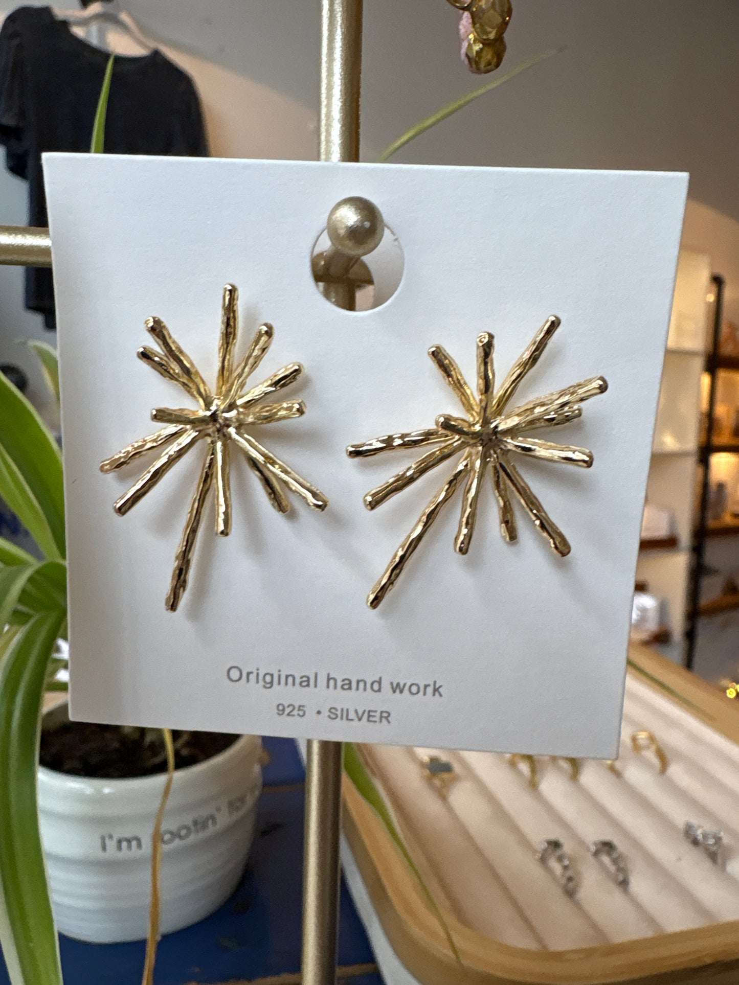 Earrings